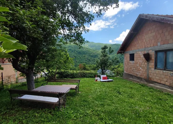 Honeyhouse Tjentiste, Foca